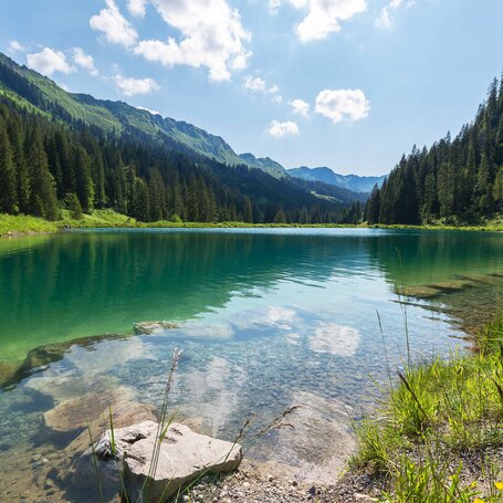 wald-see-gruen