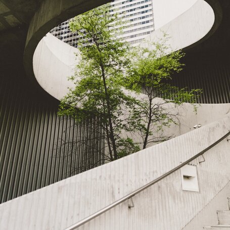 baum-in-der-mitte-einer-beton-treppe